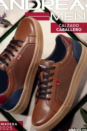 Andrea catálogo hombre zapatos Primavera 2025